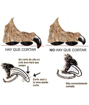 ARTERO CORTA UNHAS PEQUENO