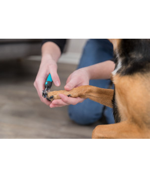TRIXIE ALICATE CORTA-UNHAS