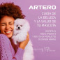 ARTERO ACONDICIONADOR VITAL PROTEIN 650ML ARTERO ACONDICIONADOR VITAL PROTEIN 650ML