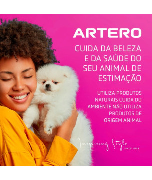 ARTERO FLASH 300ML