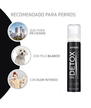 ARTERO MÁSCARA DETOX 650ML