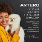 ARTERO MÁSCARA DETOX 650ML ARTERO MÁSCARA DETOX 650ML